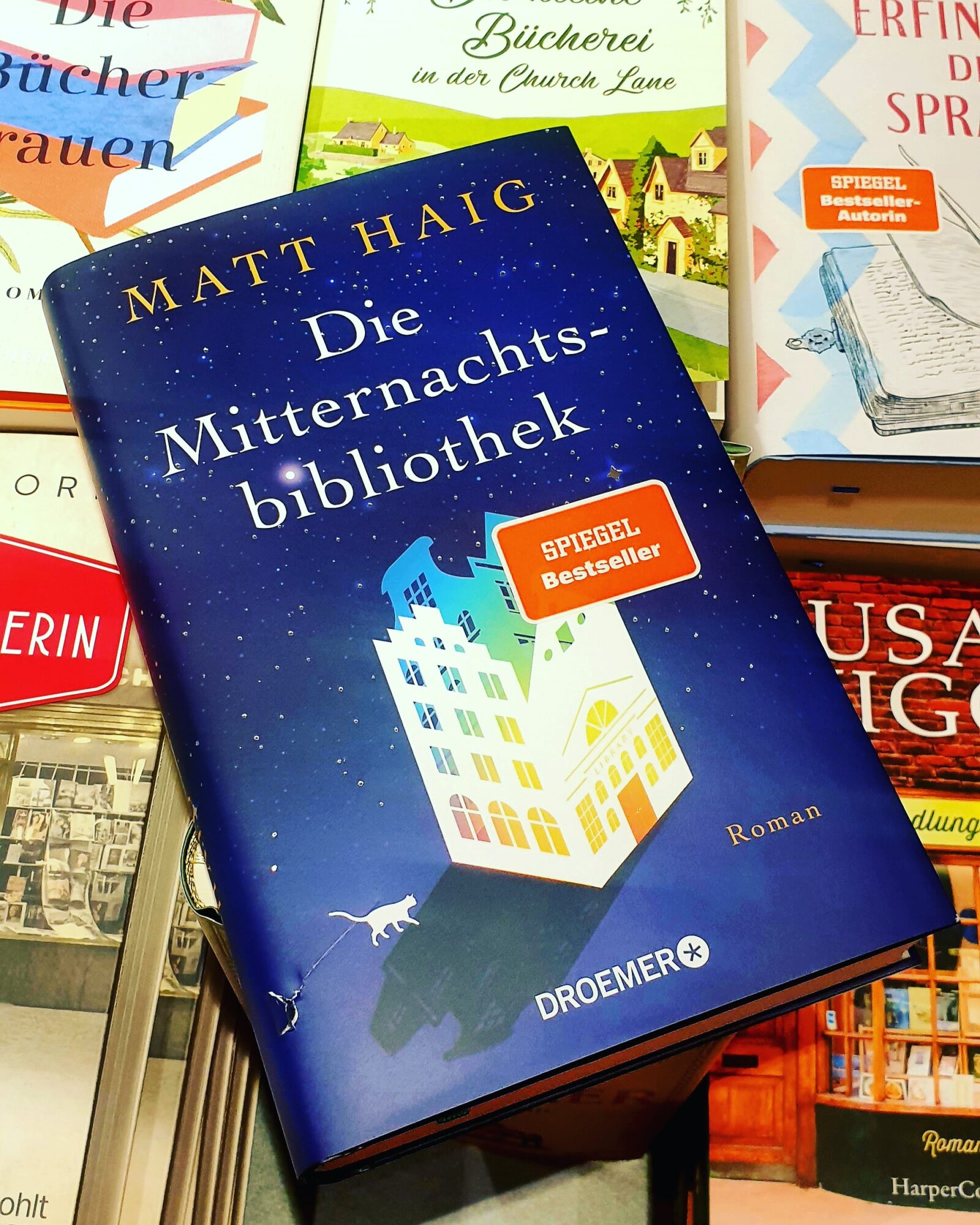 Was, wenn es nicht nur dieses eine Leben gibt? Eine