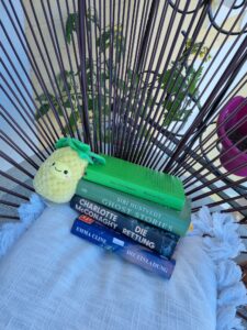 Bücherstapel Lesemonat März und April